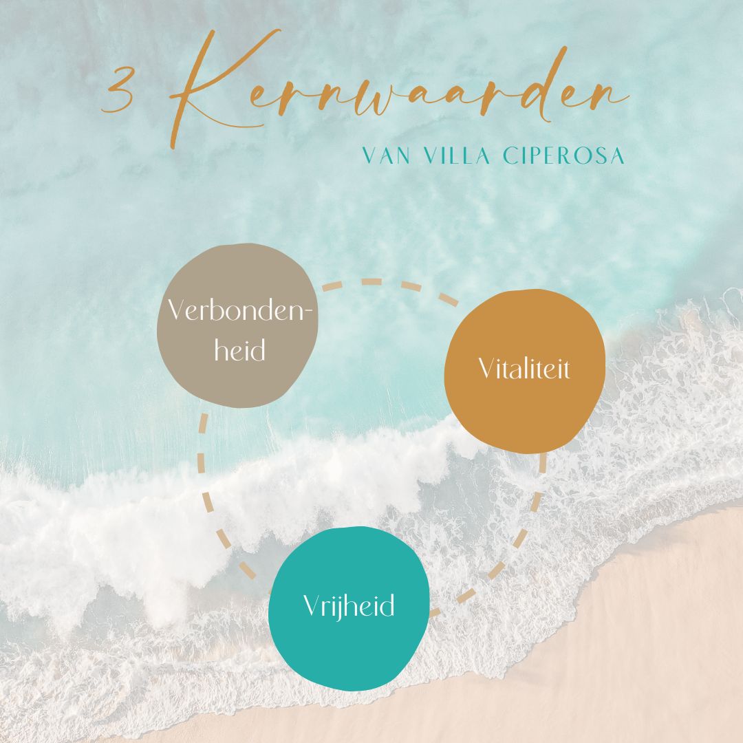 Core values VC 2025 Kernwaarden - Core values