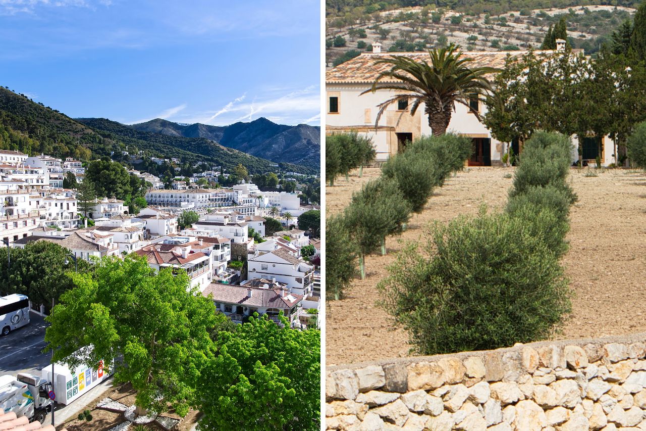 Kopen of Bouwen kopen of bouwen