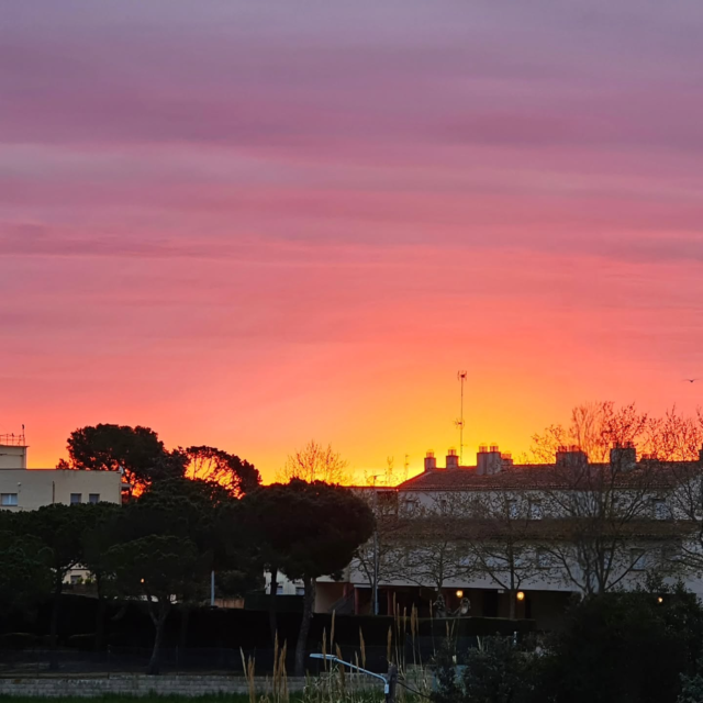 Ons uitzicht vanochtend. Prachtige zonsopkomst, eentje om in te lijsten, wat een kleurexplosie!

#zonsopkomst #morningview #labuenavida #onsspaanseavontuur #makingmemories #lifeisgood #kleurexplosie #leefjedroom #vrijheid #genieten